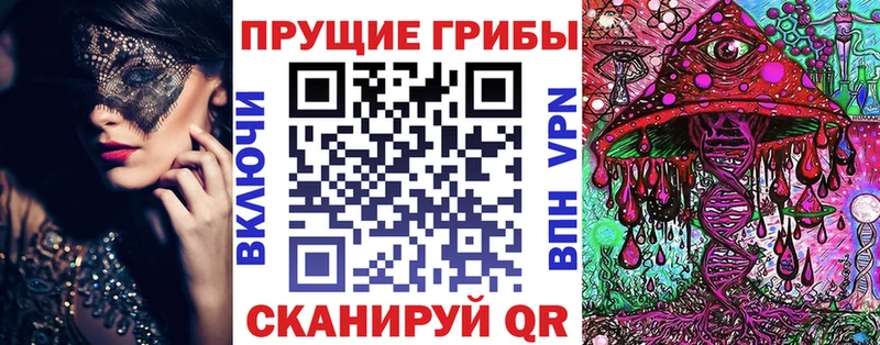 мега маркетплейс  darknet Telegram  Галлюциногенные грибы прущие грибы  Губкинский 